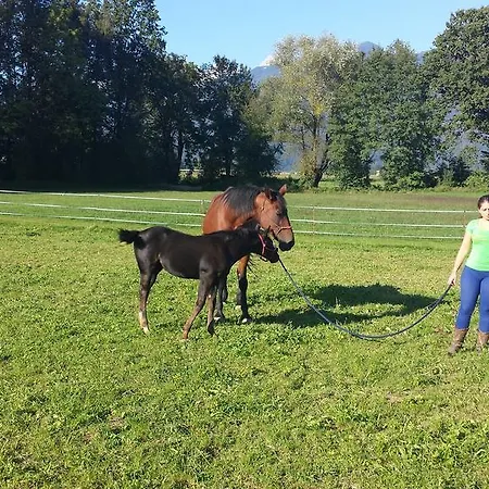 Panzió & Jana 3*