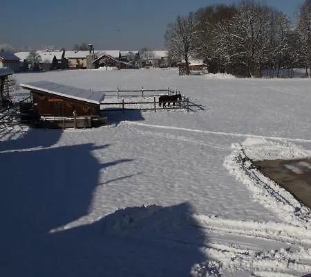 Bed & Breakfast & Jana