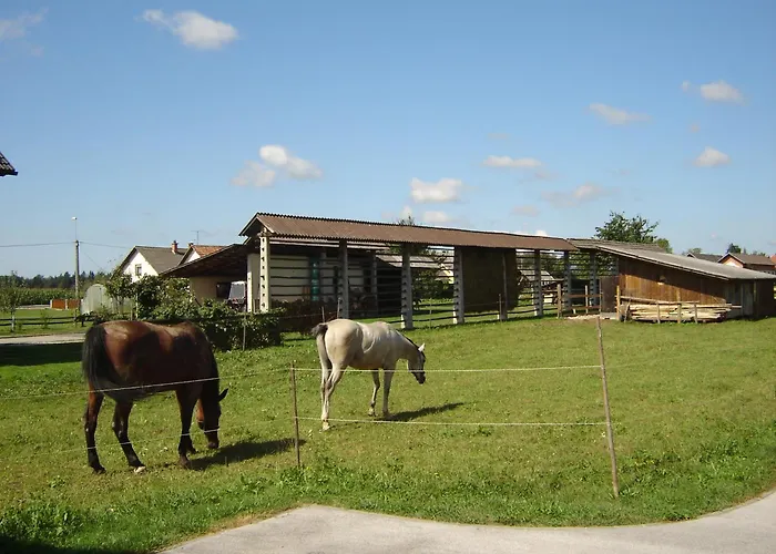 Couette-café & Jana 3*