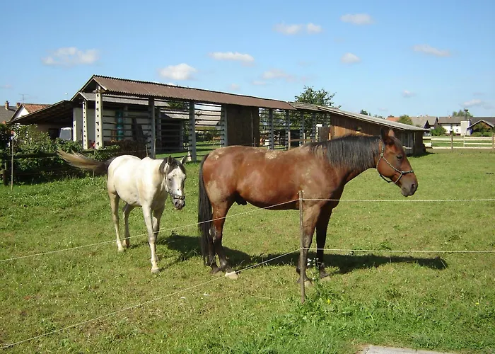 Couette-café & Jana Cerklje na Gorenjskem